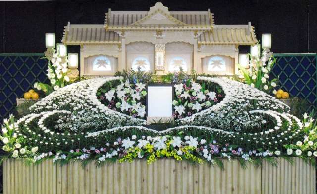 QnQw71C1QpzbUu2mXp8HvaEyW4TaS90L